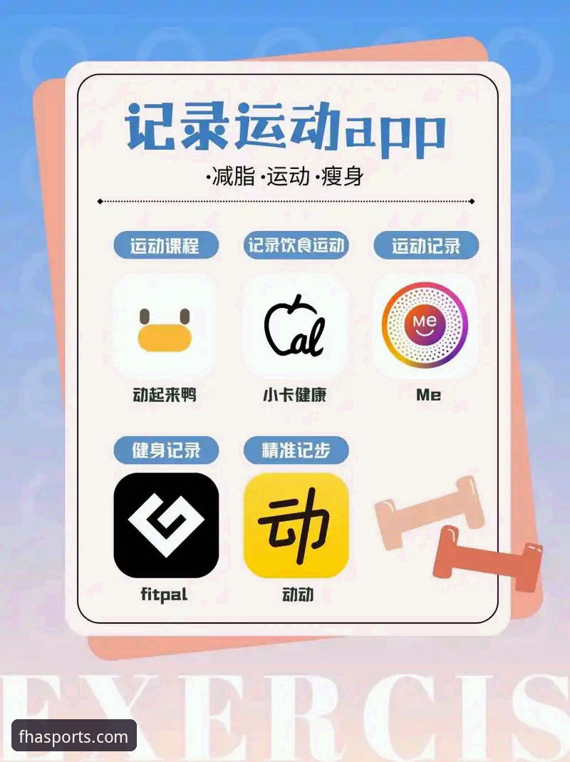 FHP体育平台APP下载与使用完整指南：最新版本功能详解与操作教程